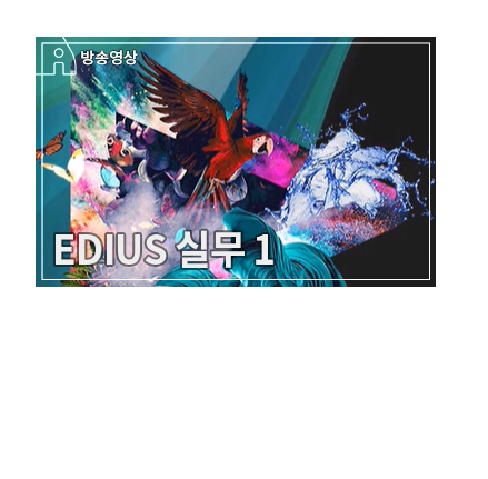 EDIUS 9버전에 추가된 기능 알아보기 - EDIUS 실무활용을 위한 이펙트 강좌