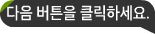 다음
