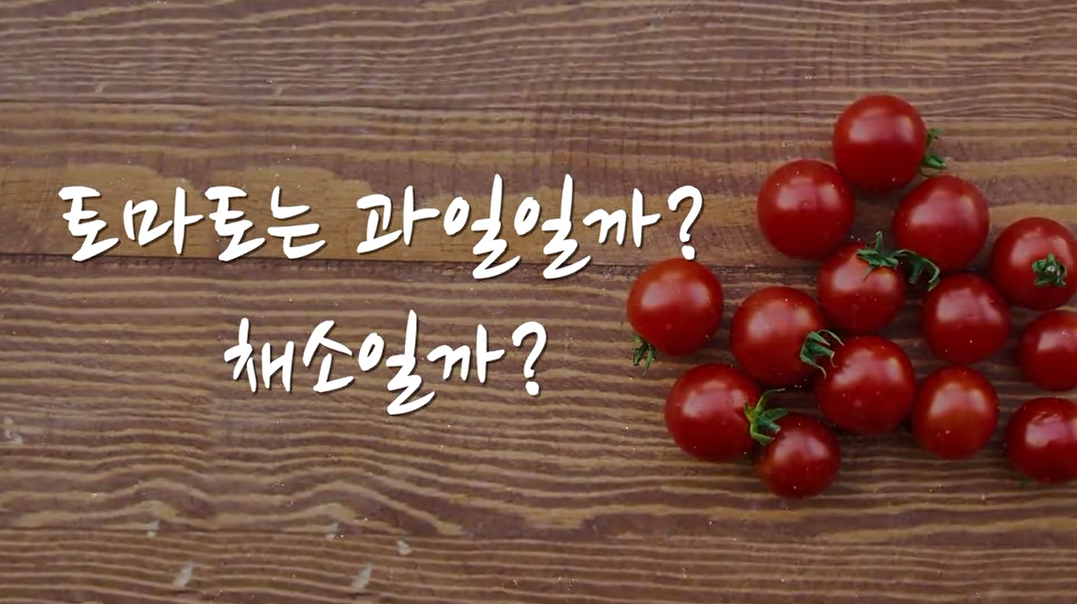 토마토는 과일일까? 채소일까?