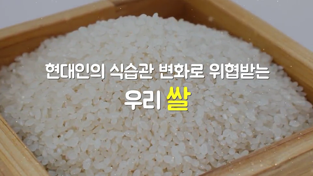 현대인의 식습관 변화로 위협받는 우리 쌀